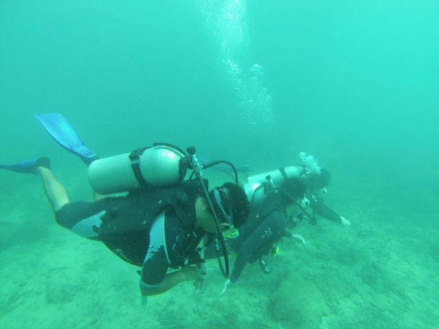 buceo en los arrecifes veracruzanos