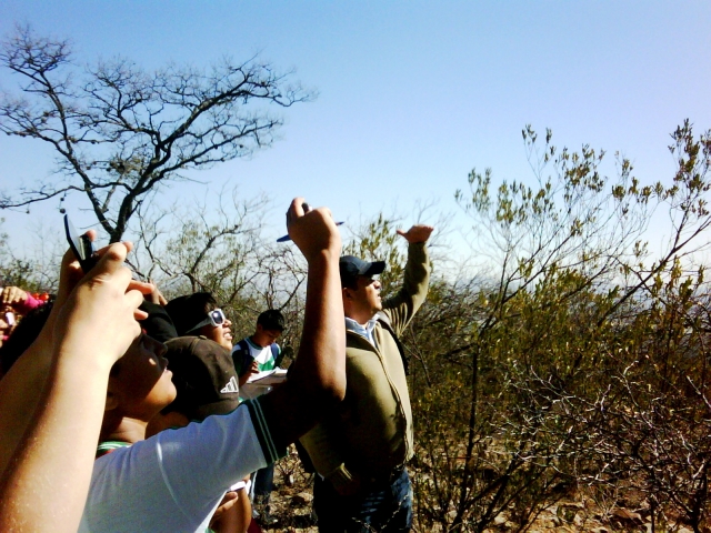 Observación de Flora y Fauna