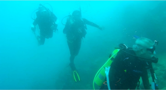 Disfrutando el Arrecife