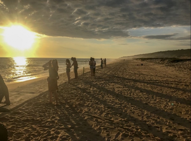 caminatas a la orilla del mar