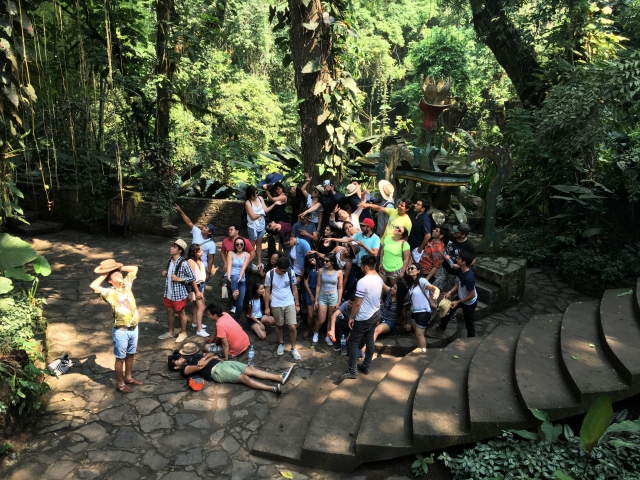 Actividades para grupos