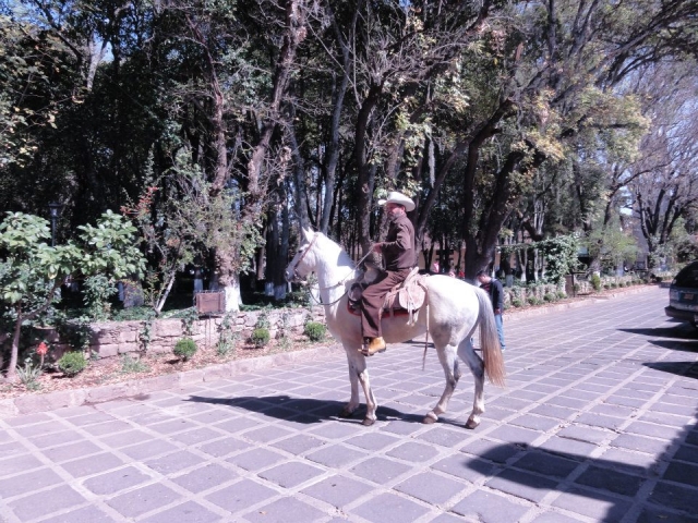 Rutas a caballo