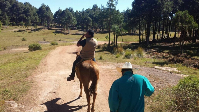 Recorrido a caballo
