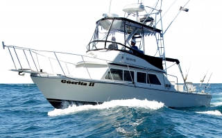 Güerita Sportfishing