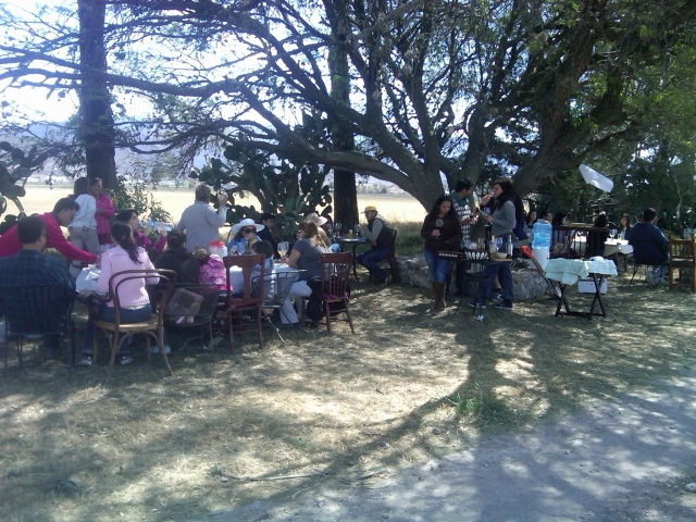 En el campo