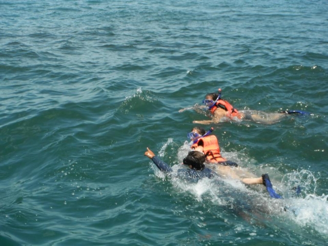 Snorkel con tiburon ballena
