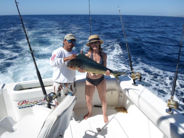 Dorado