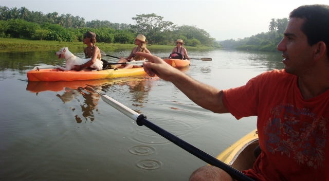 Visitas guiadas de kayak