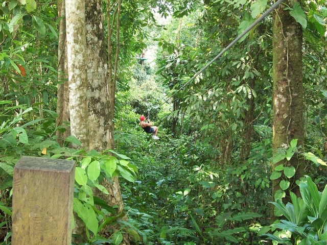 Preparados para la aventura en la selva