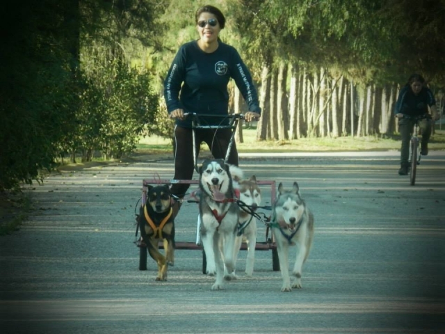 Carting