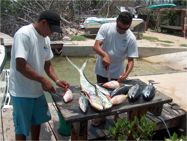 Fileteando pescado