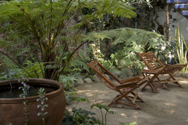 El jardin