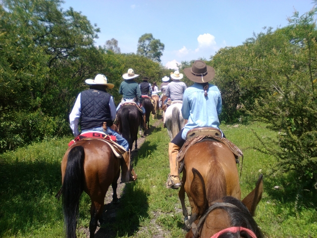 Explora la naturaleza