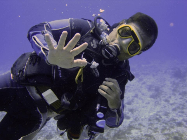 Buceo