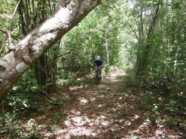 los mejoternera trails