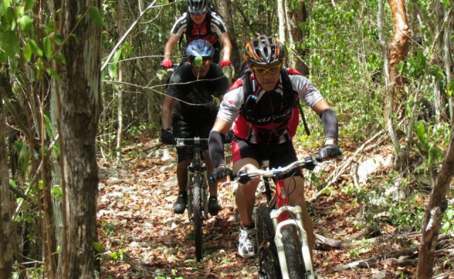 tan tecnicos como tu lo desees