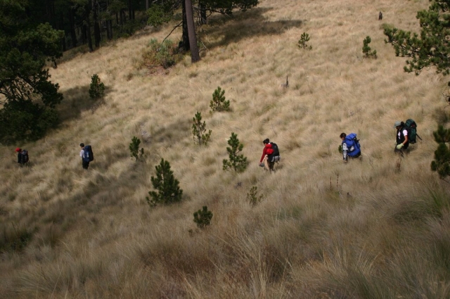 Media montaña