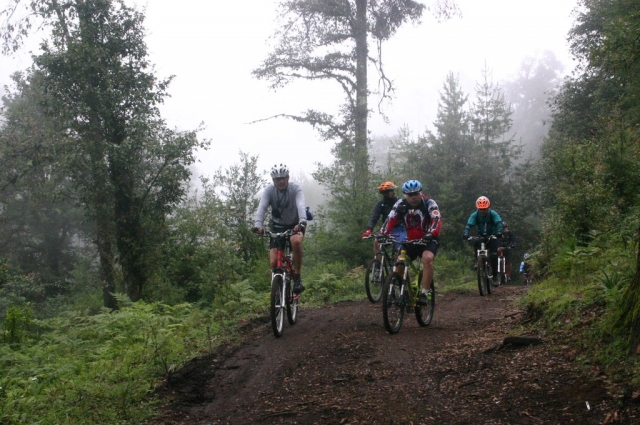 Bicicleta de montaña