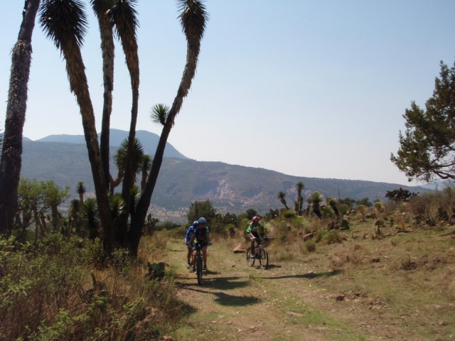 Bicicleta de montaña