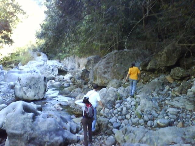Excursiones