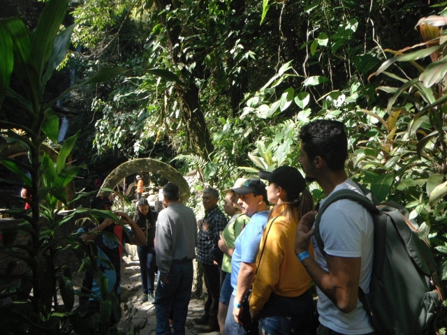 Caminando entre vegetación