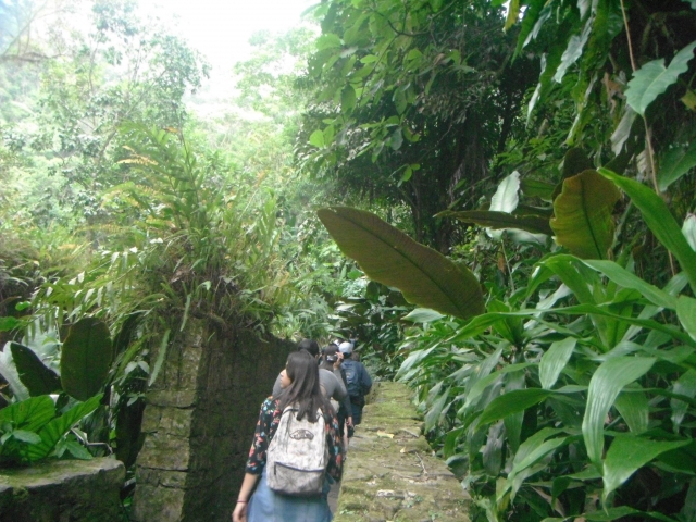 senderismo entre selvas