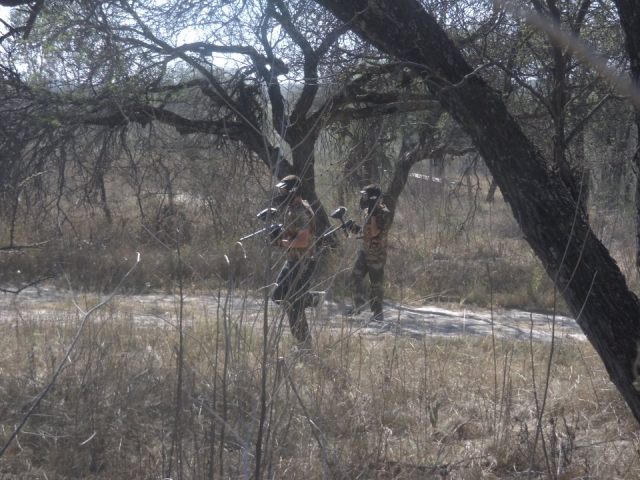 Campo de paintball natural