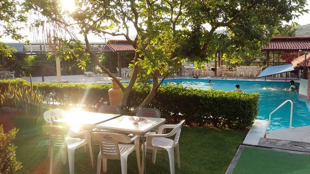 Disfruta del sol