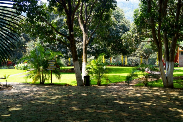 Carevas