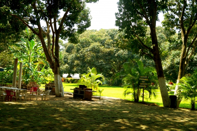 Area de comida