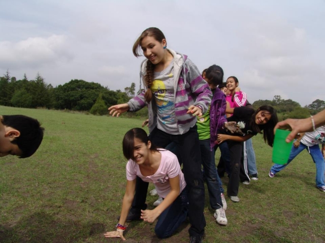juegos y dinamica