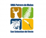 Potrero de Mulas Campamentos Multiaventura