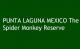 Punta Laguna México