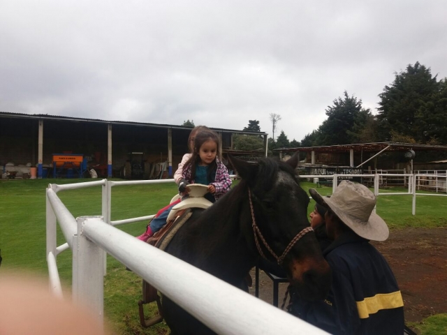 Interactuando con los caballos 