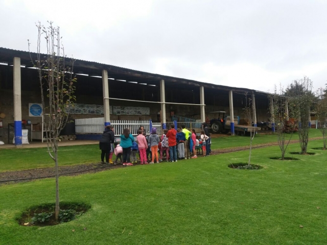 Recorrido por la granja 