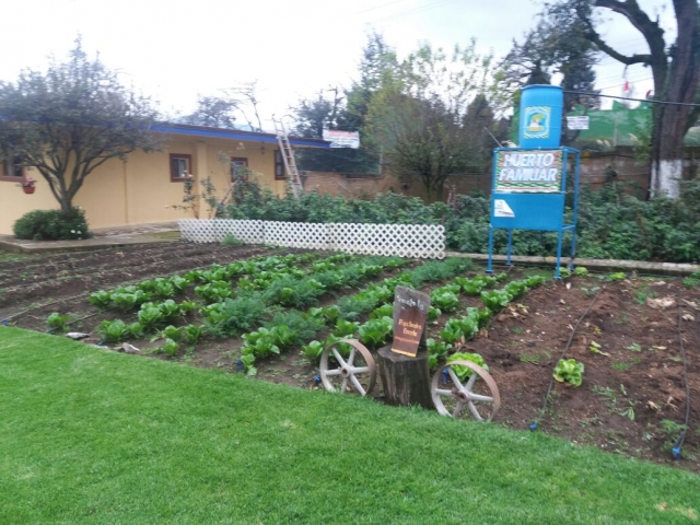 Huerto en la granja 