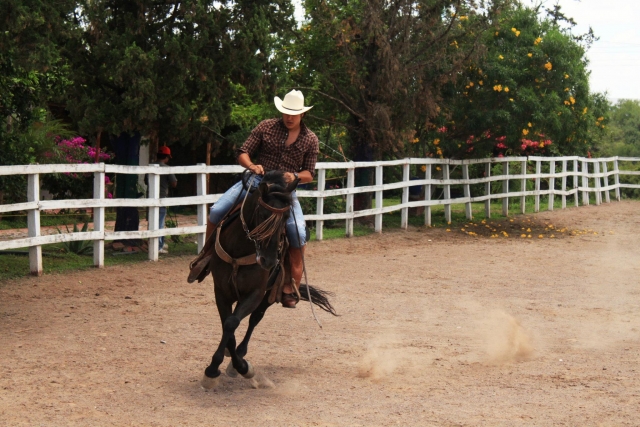 Jinetes