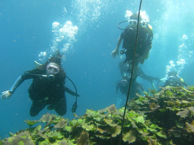 Submarinismo