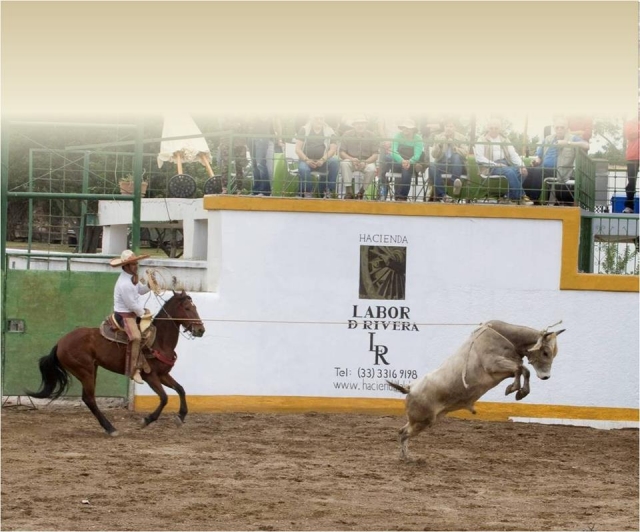 Charreria