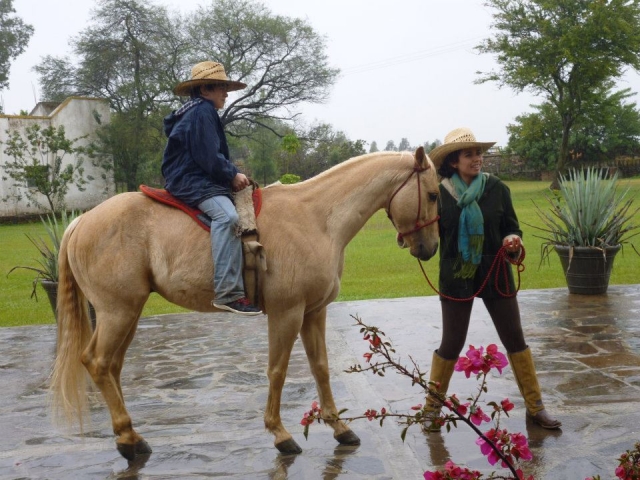 Equinoterapia