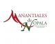 Manantiales de Nopala 