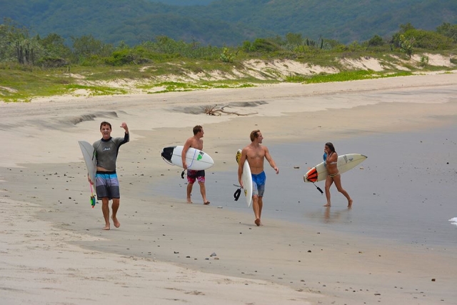 Surf