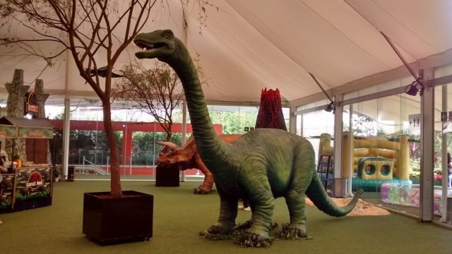 Sauropodo