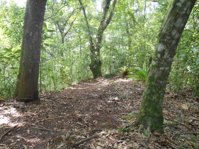 disfruta de la naturaleza