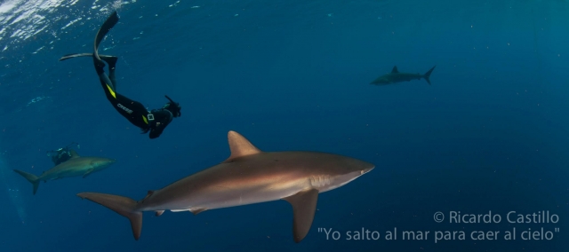 Jardines de la Reina 