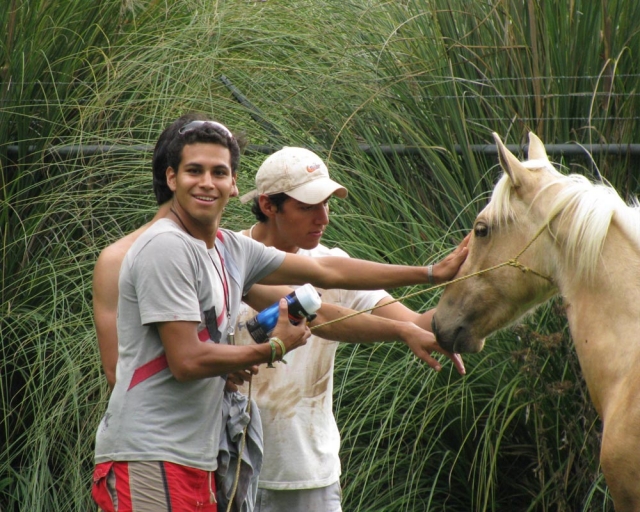 Visita con caballo