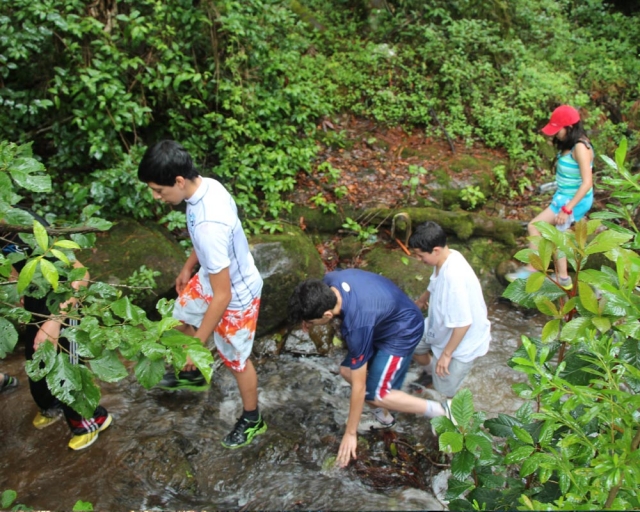 Niños exploradoternera