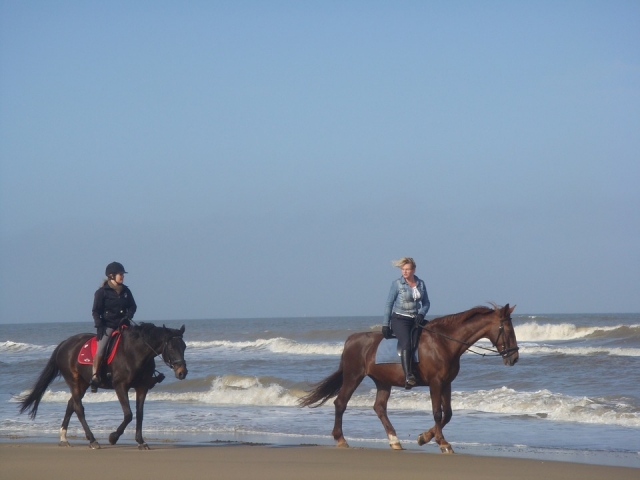 Rutas a caballo en la playa 
