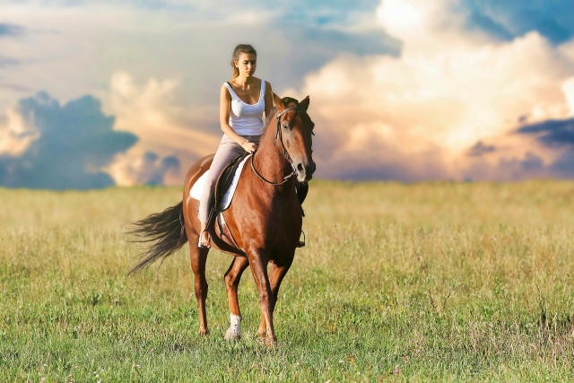 Recorridos a caballo