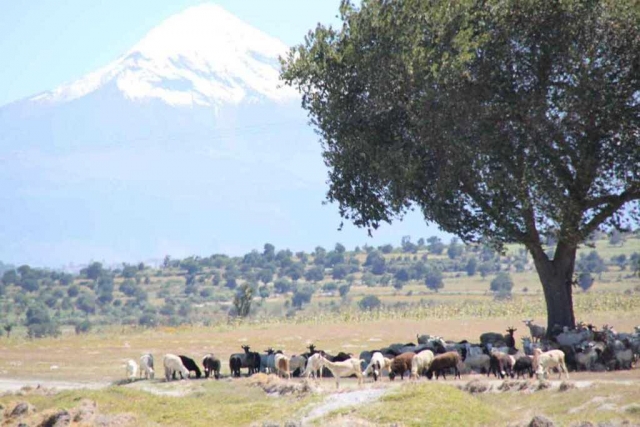 paisaje